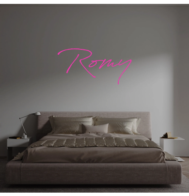 Custom text: Romy